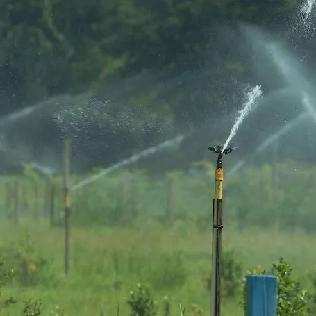 thumbnail for publication: How the General Public and Local Officials Prefer to Learn about Agricultural Water Use in Florida